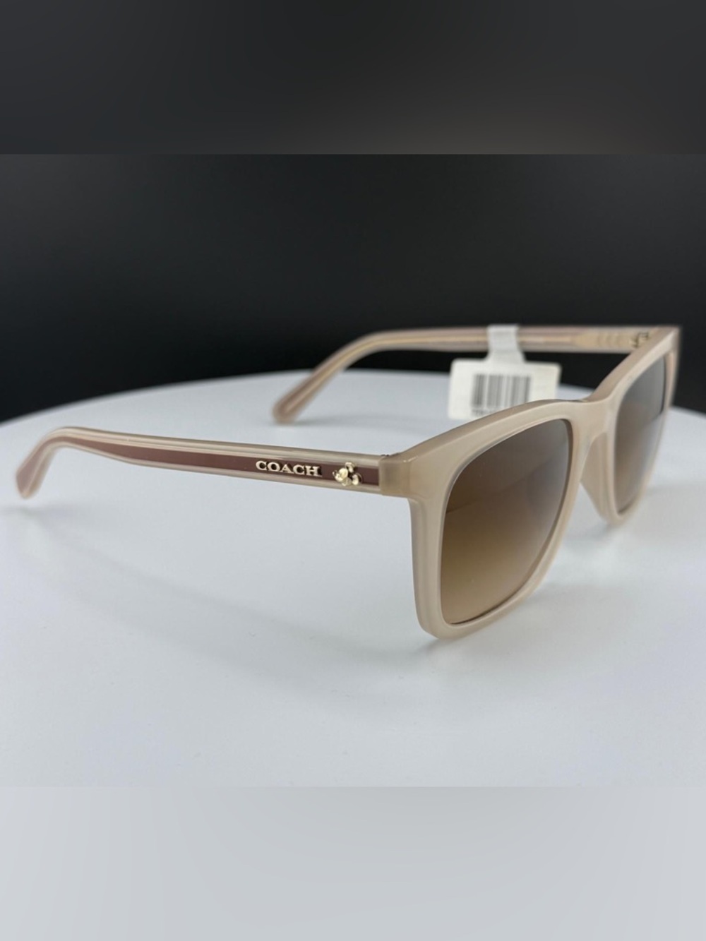 COACH Women's Sunglasses, HC8374U51-Y 51